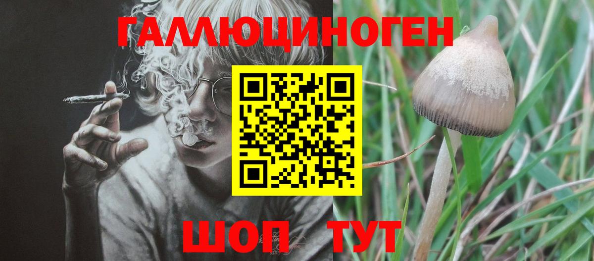 Галлюциногенные грибы прущие грибы Саянск
