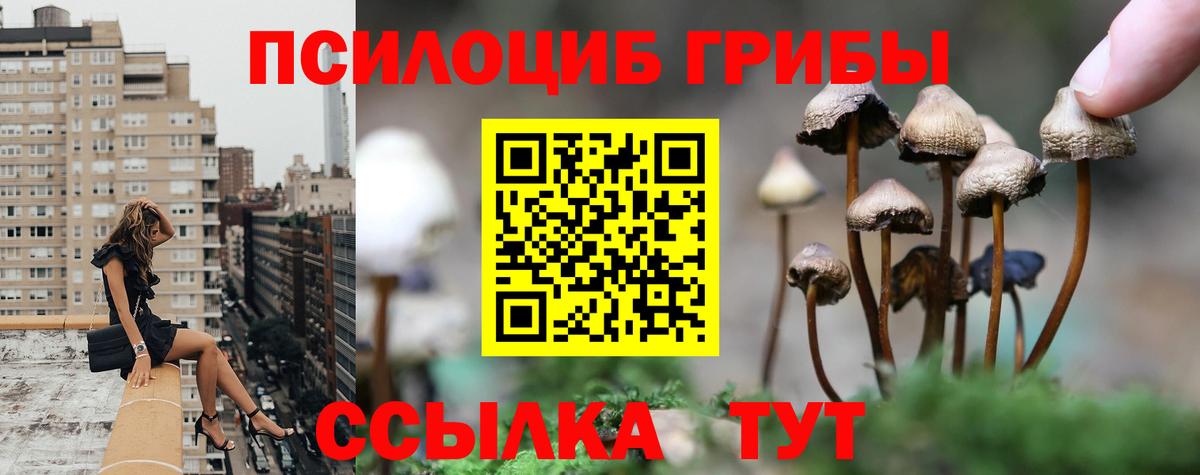 Саянск  Псилоцибиновые грибы ЛСД  Вход с VPN 